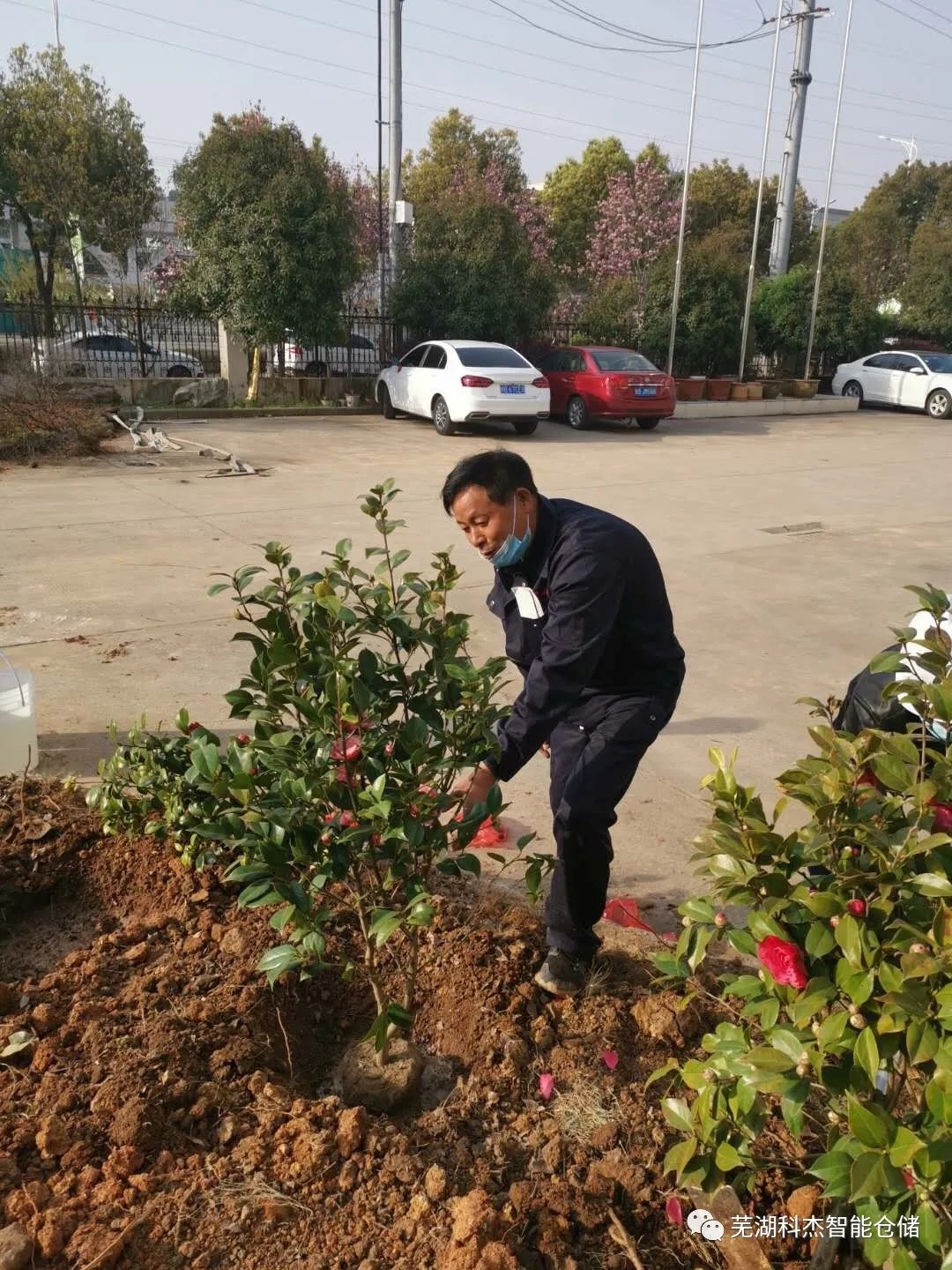 科杰公司绿化植树