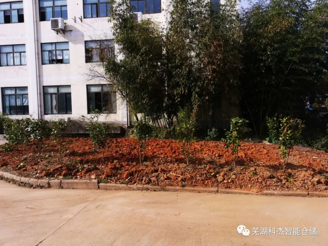 科杰厂区种植绿化全景图