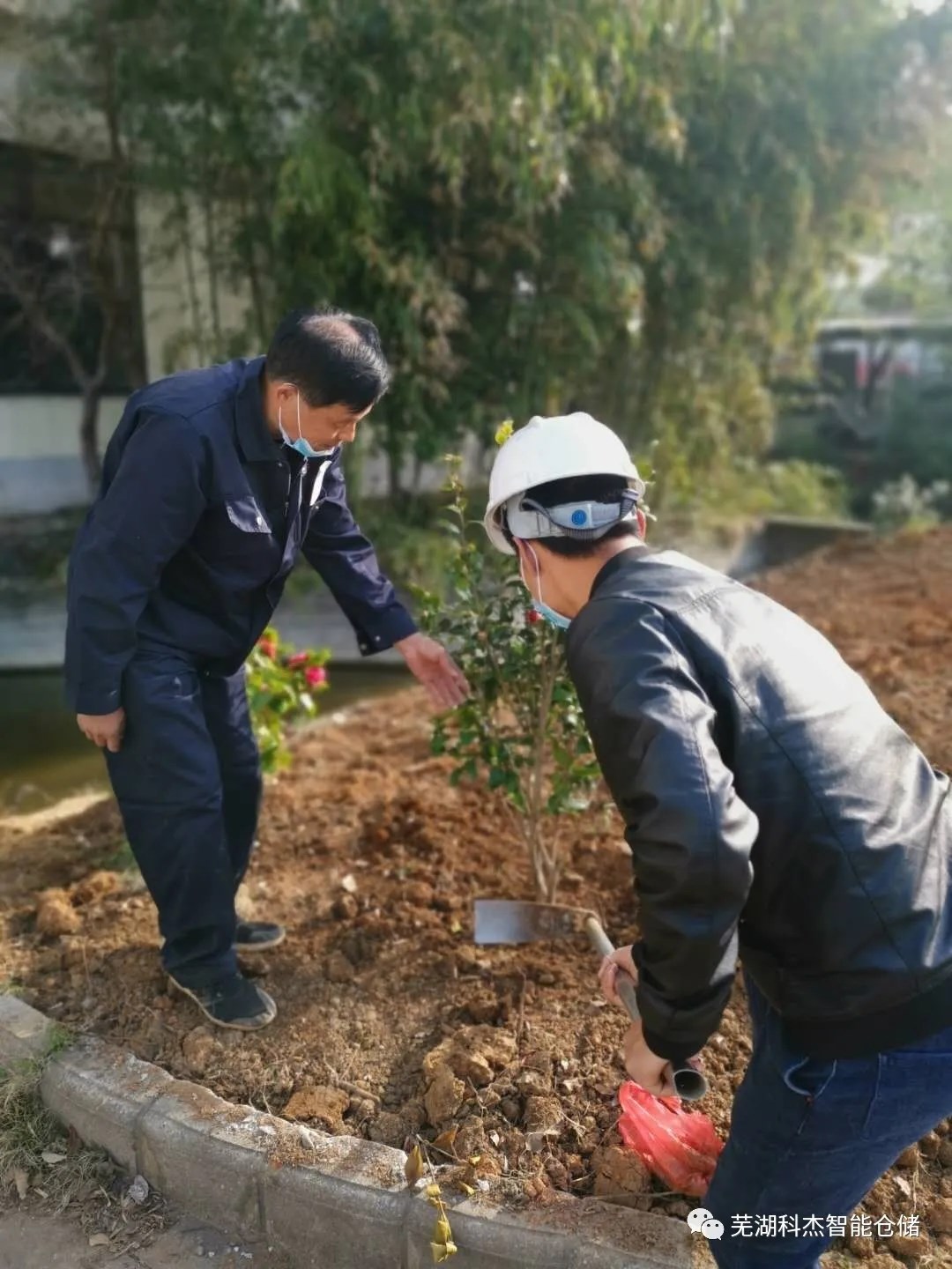 科杰公司种下小树苗