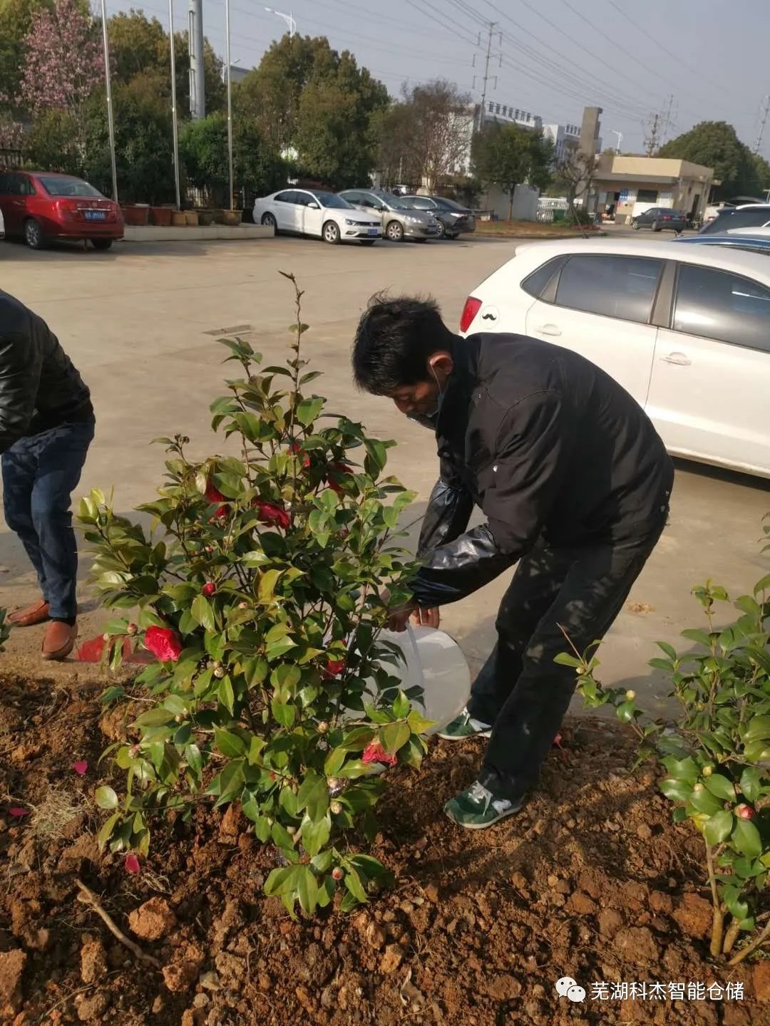 科杰高位货架公司绿化植树