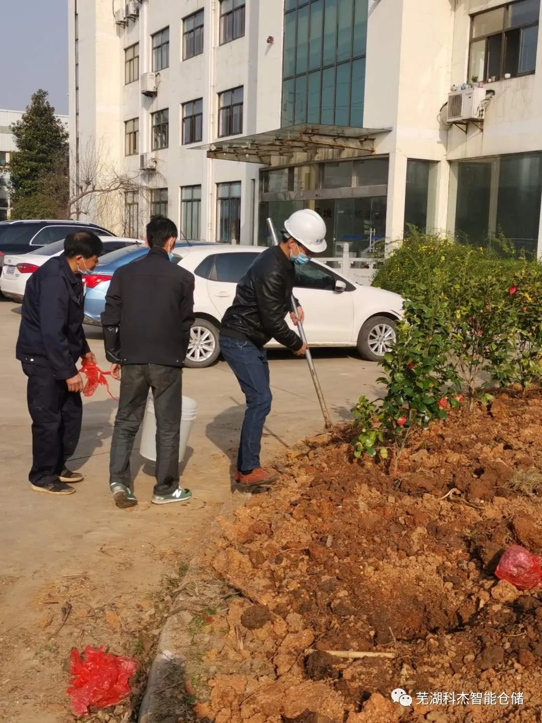 科杰立库托盘货架绿化植树
