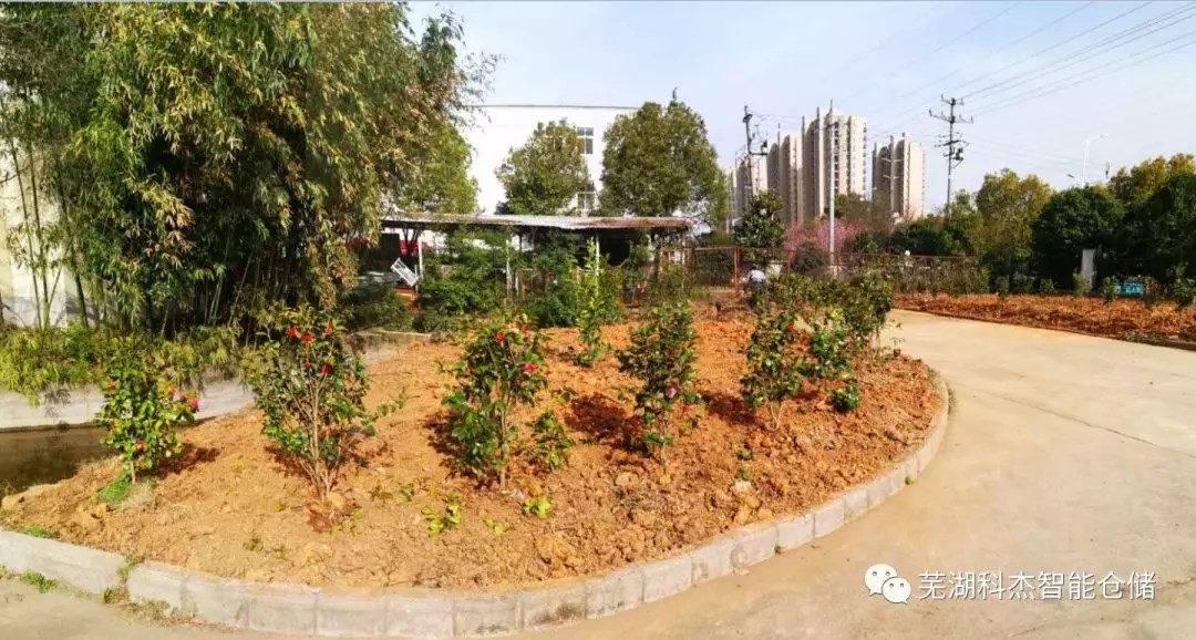 科杰货架种植绿化